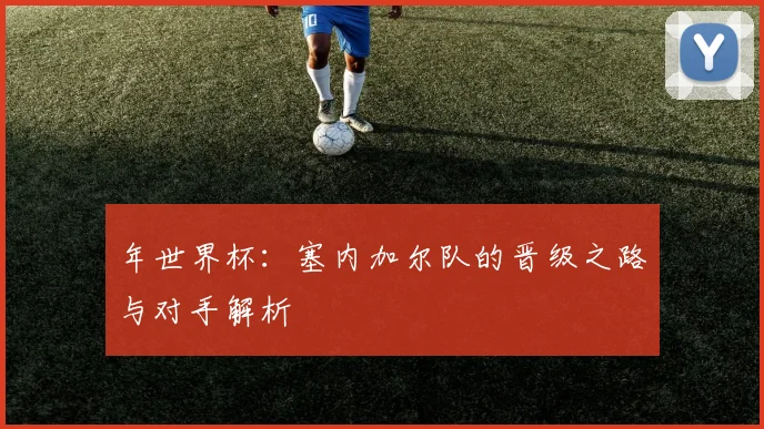 年世界杯：塞内加尔队的晋级之路与对手解析