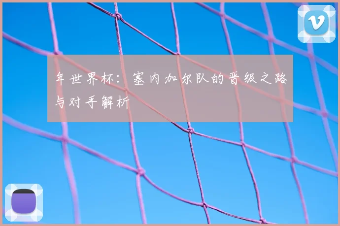 年世界杯：塞内加尔队的晋级之路与对手解析